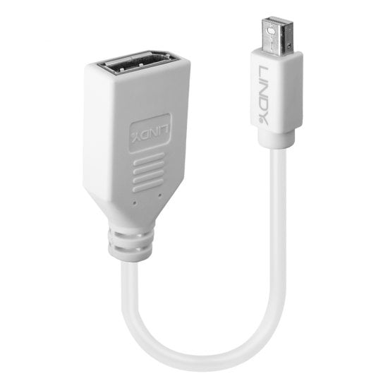 0.20m Mini DisplayPort to DisplayPort Adapter Cable